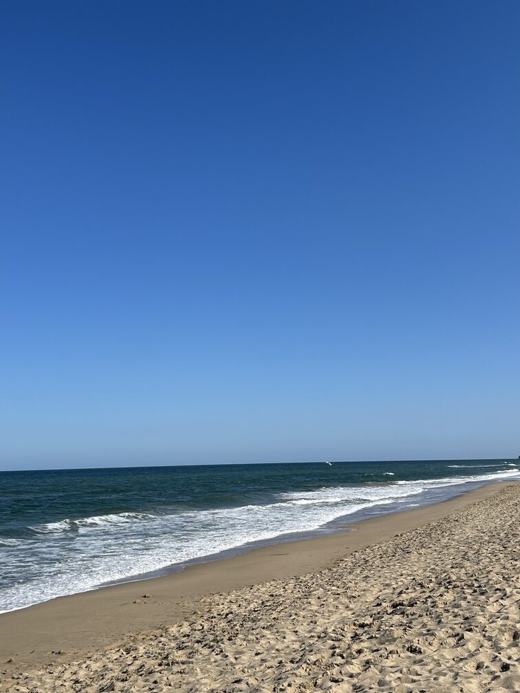 hvd reina del mar obzor plaja